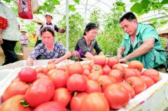 铜仁：做实“三精准”提振精气神