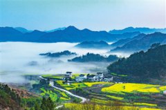 祖国各地田野上绘出绿色画卷