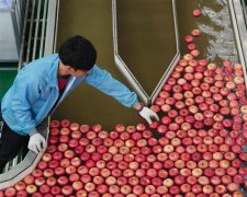 苹果“后整理” 提升附加值