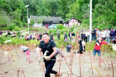 <b>凤冈县王寨镇首届农民丰收节活动精彩纷呈</b>