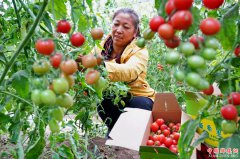 河北：产业扶贫播散“新希望”