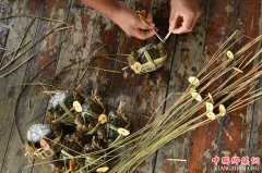 太湖蟹迎丰收季