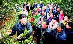 四川省仁寿县2018年新型职业农民培训班开班