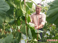 <b>安徽龙扬支部引领调结构 产业发展增活力</b>