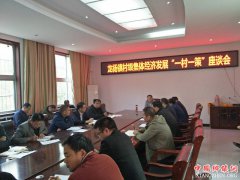 安徽龙扬镇：“一村一策” 壮大村级集体经济