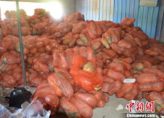 重庆警方破获运毒案 20吨南瓜中藏毒2.8千克