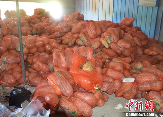 重庆警方破获运毒案20吨南瓜中藏毒2.8千克被查获
