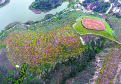 <b>延安：退耕还林20年 荒山秃岭变青山</b>
