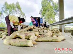 <b>广西永福县龙溪村：发展特色农业产业助力脱贫攻坚</b>