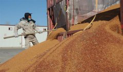 <b>农发行全国首笔杂粮收购贷款投放</b>