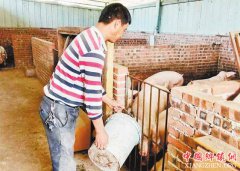 刘家全：从家徒四壁到鸡猪成群