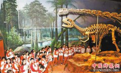 永川小学生走进博物馆