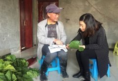 谭英芳：把汗水洒在脱贫攻坚“战场”