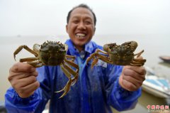 军山湖大闸蟹进入全面捕捞期