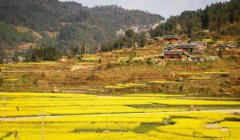 最高法：通过司法审判引导农村摒弃高额彩礼等风气