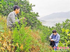 重庆奉节：“第一书记”徐磊用真心换真情 贫困村变示范村