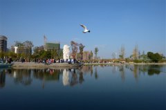 223个优良天 “一微克一微克”抠出“成都蓝”