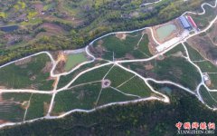 四川平昌县引雁归迎凤来增信心 力争2019年全县脱贫摘帽