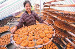 广西平乐县柿饼：群众脱贫致富的“金果果”