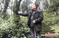涂昌明：愿一辈子做山林里的安全卫士