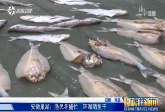 安徽：巢湖渔民开始冬捕晒鱼干