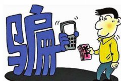 女子一人分饰两角 “网恋”诈骗万余元落网