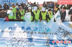 30万尾鱼苗放流滇池