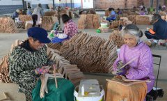 广西：“扶贫车间”办到村里来