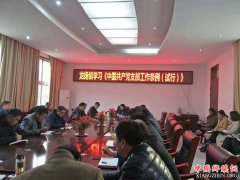 安徽：龙扬镇组织学习《中国共产党支部工作条例（试行）》