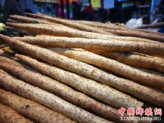 冬季不“盲补” 这8种食物最适合进补