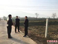 陕西华州区莲花寺镇：做大做强产业  助推脱贫攻坚得实效