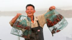 江苏泗洪农业供给侧改革：盯上产出率 算好经济账