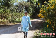 张惠仙：山寨里的“白衣天使”