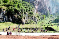 贵州：不种玉米种刺梨“瘦土也能出黄金”