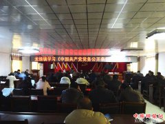 安徽省龙扬镇集中学习《中国共产党党务公开条例》