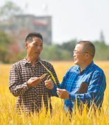 江西南昌县“土地托管”助推规模农业