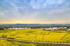 <b>四川：泸县八大攻坚战推进脱贫提质增效</b>