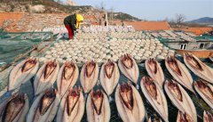 冬日晒鱼忙