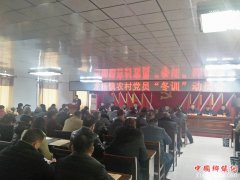 安徽省龙扬镇开展党员“冬训”工作