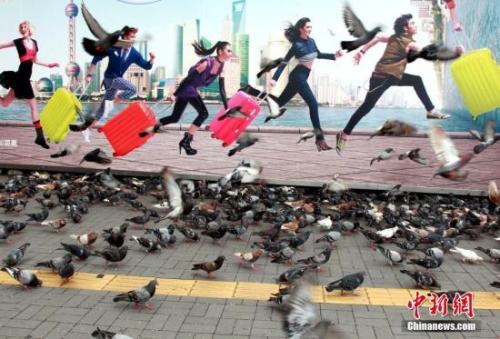 旅游资料图。<a target='_blank'  data-cke-saved-href='http://www.chinanews.com/' href='http://www.chinanews.com/'><p  align=