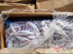 云南保山市查获14吨“僵尸”鸡脚