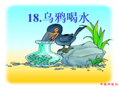 <b>科学老师解读：乌鸦喝水，知识点不少</b>