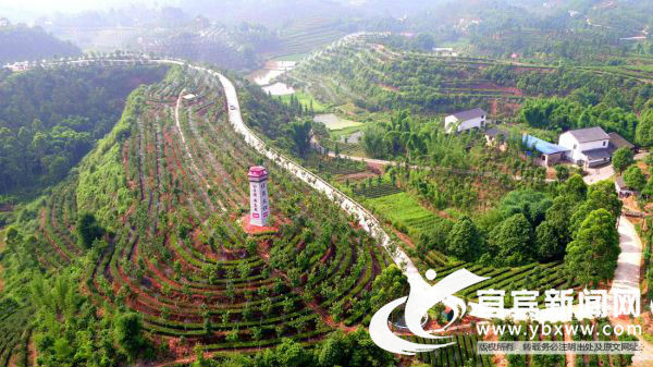 一体化山水田园路