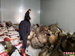 陕西摧毁贩卖野生动物犯罪团伙 熊掌论斤收购