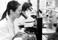 <b>寒假留校科研忙</b>