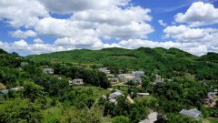 新春走基层见闻：脱贫攻坚看海雀