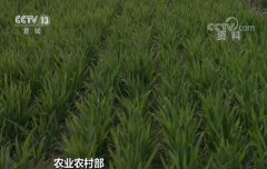 <b>农业农村部：全国春耕备耕工作全面展开</b>