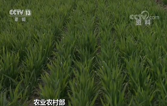 农业农村部:全国春耕备耕工作全面展开