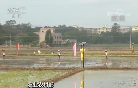 农业农村部:全国春耕备耕工作全面展开