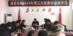 陕西华州区莲花寺镇：召开第三次党委中心组学习